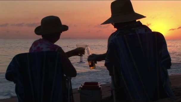 Un par de brindis por el océano mientras se sientan en una playa . — Vídeos de Stock