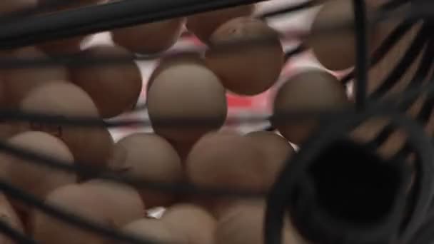 Een kooi van bingo ballen draaiingen — Stockvideo