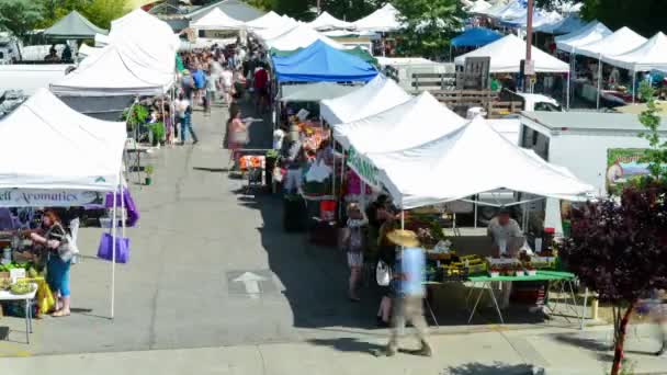 Menschen von oben auf dem Ojai Bauernmarkt — Stockvideo