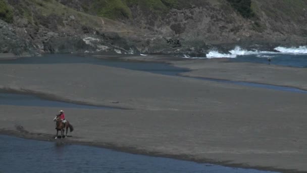 Um cavalo chileno e trem de cavaleiro na praia — Vídeo de Stock