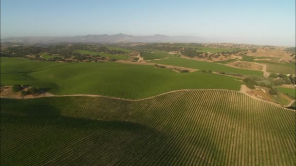 Vista sobre as colinas verdes — Vídeo de Stock