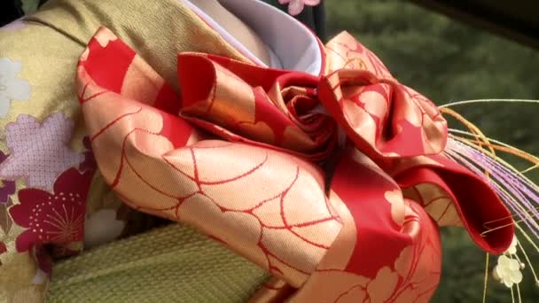 Japonya'da bir kimono içinde genç gelin — Stok video