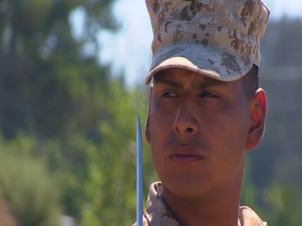 Marines practican guardia de honor — Vídeos de Stock