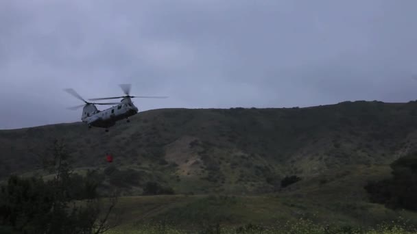 Water dropping helicopters — Stock Video