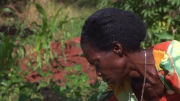 Africanos en una aldea en Uganda — Vídeo de stock