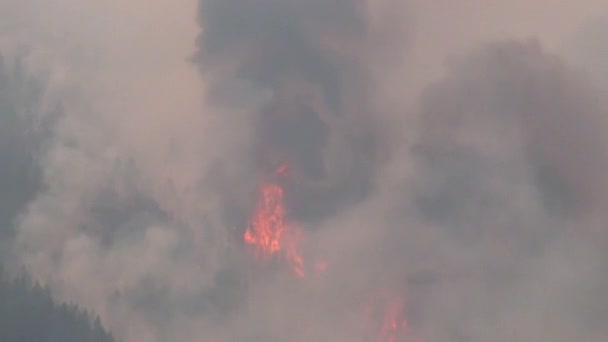 Park brandwonden over een berghelling — Stockvideo