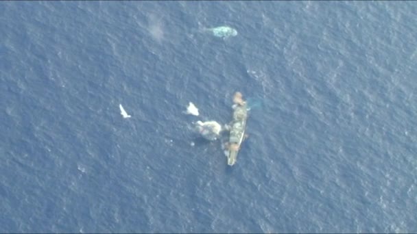 Воздушная бомбардировка военного корабля — стоковое видео