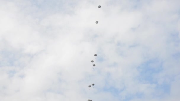 Paracaidistas en paracaídas a la tierra — Vídeos de Stock