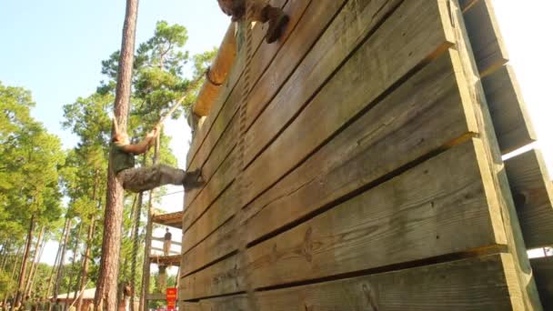 Marines compete in  various workout drills — Stock Video