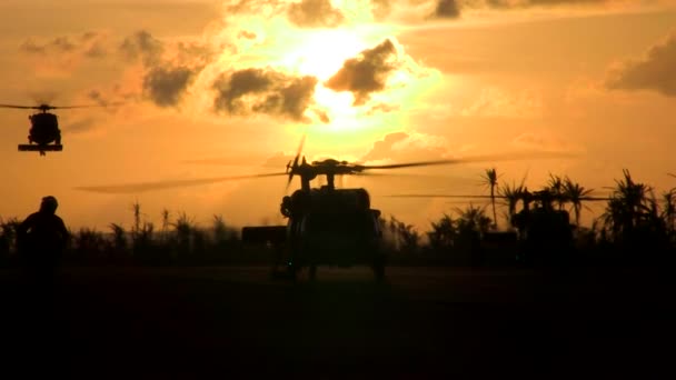 Military helicopters land on — Stock Video