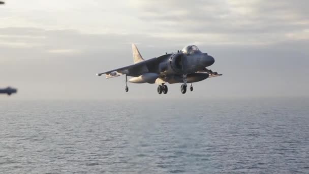 Námořní letouny Harrier v akci — Stock video