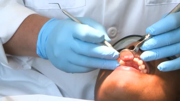 Les étudiants apprennent la dentisterie — Video