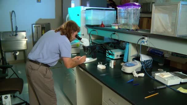 Uno scienziato medico in un laboratorio — Video Stock