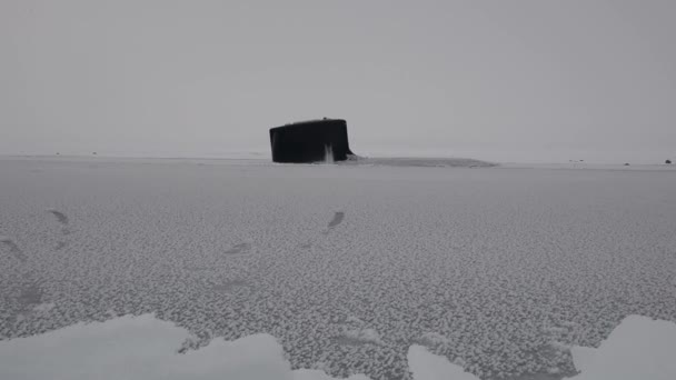 Un submarino emerge a través del hielo — Vídeos de Stock