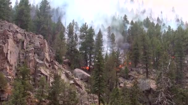Πάρκο καίει σε μια βουνοπλαγιά — Αρχείο Βίντεο