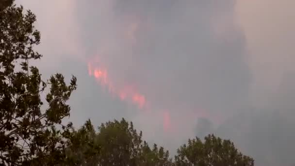 Parque queima através de uma montanha — Vídeo de Stock