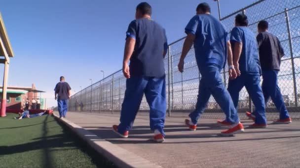 Centro de Detención de Florencia — Vídeo de stock