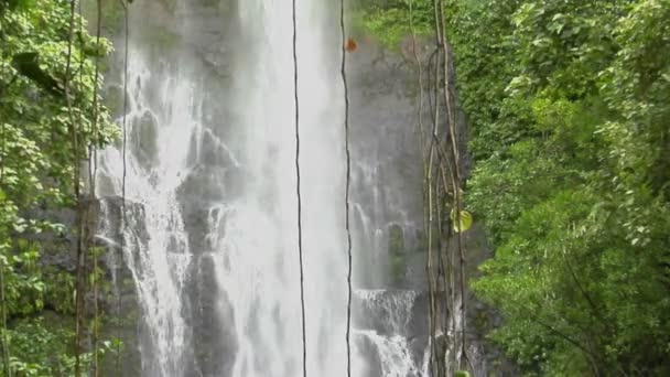 Ein tropischer Wasserfall in Hawaii — Stockvideo