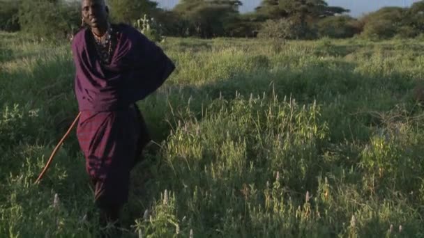 Masai warrior walks in Tanzania — Stock Video