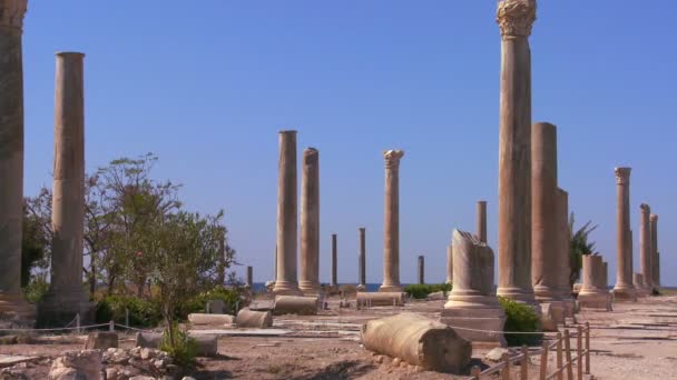 Ruinas romanas fenicias en Líbano — Vídeo de stock