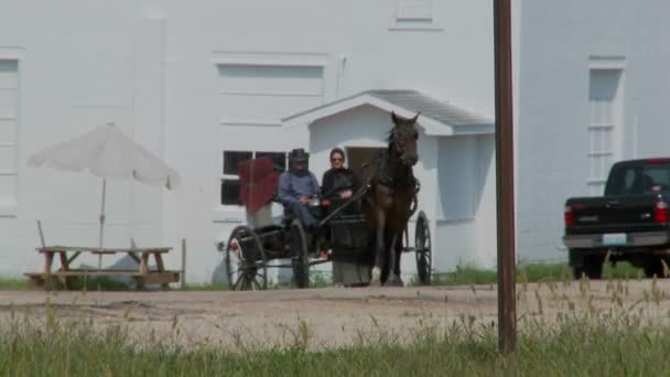 Конь амишей и коляска движется среди современного движения — стоковое видео