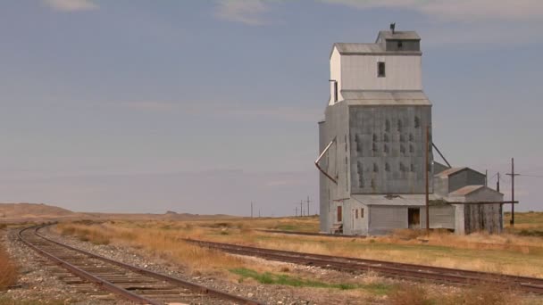 A grain silo sits — Stock Video