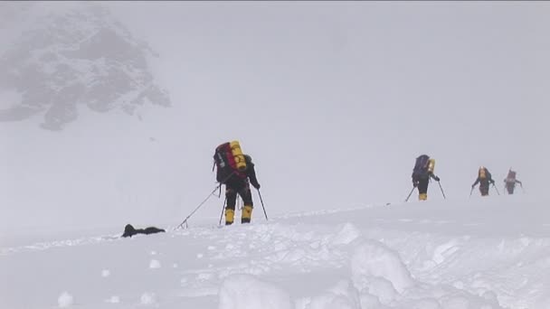 Escaladores ascendiendo en la nieve — Vídeos de Stock