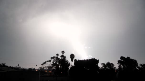 La foudre frappe pendant un orage — Video