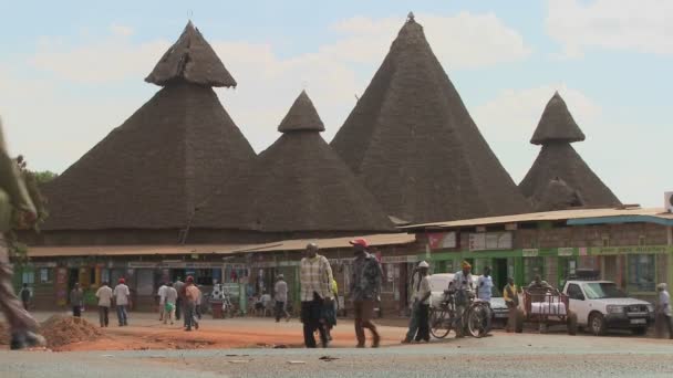 Unusual thatch roof structures in — Stock Video