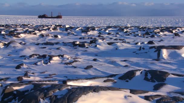 Ett fartyg sitter instängda i isen — Stockvideo