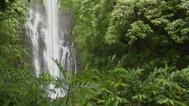 Uma cachoeira tropical no Havaí — Vídeo de Stock