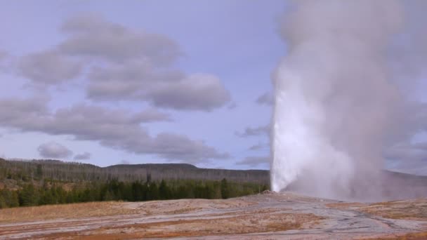 Old Faithful erupts at Park — Stock Video