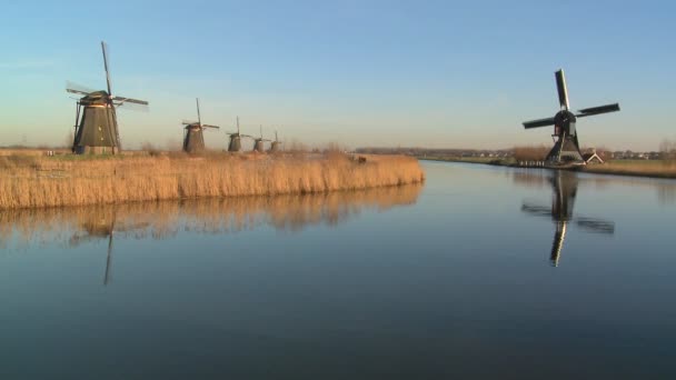 Windmühlen säumen einen Kanal — Stockvideo