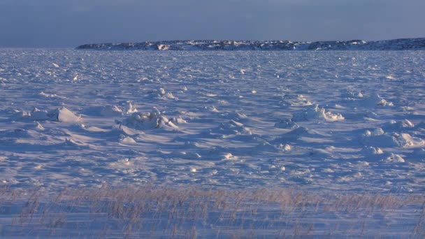 Замерзшее пространство Гудзонова залива — стоковое видео