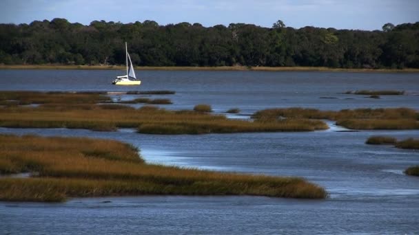 Witte zeilboot op een rivier — Stockvideo