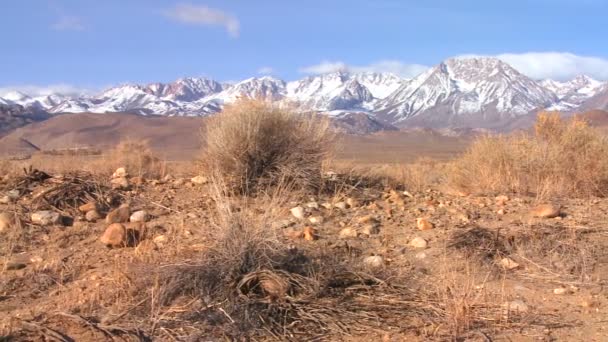 Serra Nevada em Califórnia — Vídeo de Stock