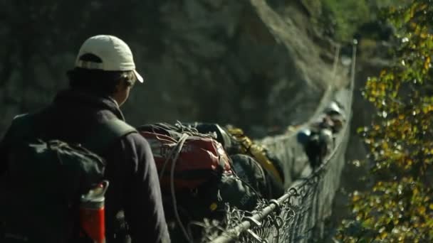 Ponte de travessia de iaques — Vídeo de Stock