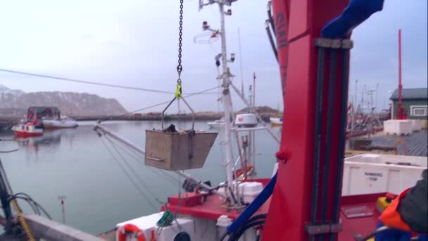 Vis uit de greep van een vissersboot gebracht — Stockvideo