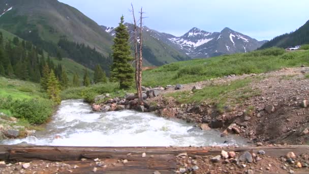 Rocky Mountain rivier en bergen — Stockvideo