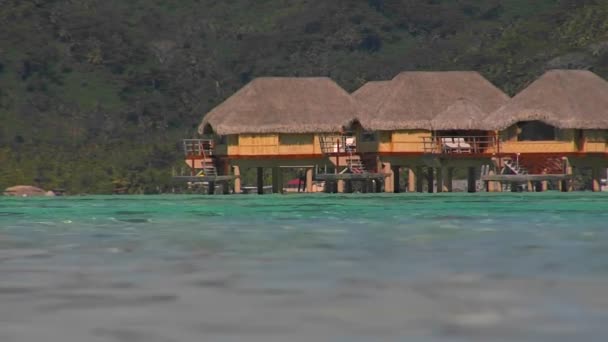 Tahitian huts on the water — Stock Video