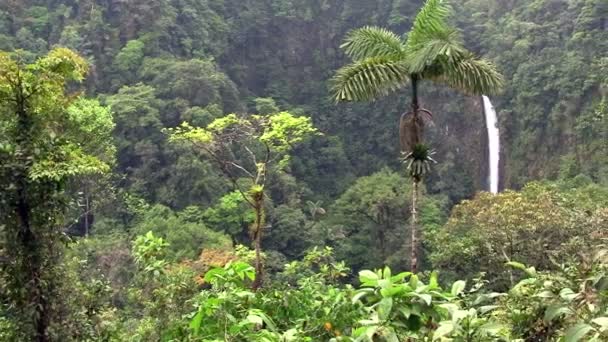 Schöner Wasserfall bei Fortunas — Stockvideo