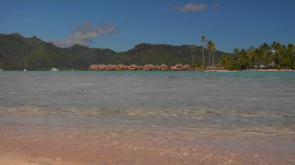 Tahitian beach och hyddor i fjärran — Stockvideo