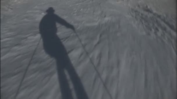 Ski alpin running — Video