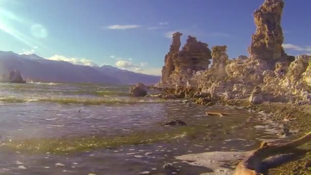 Margens do lago Mono — Vídeo de Stock