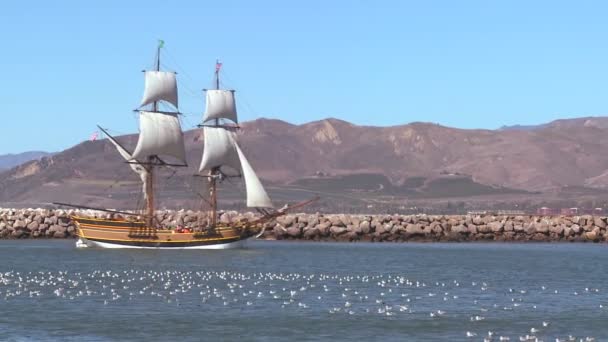 Árboc schooner vitorlákat a tenger — Stock videók