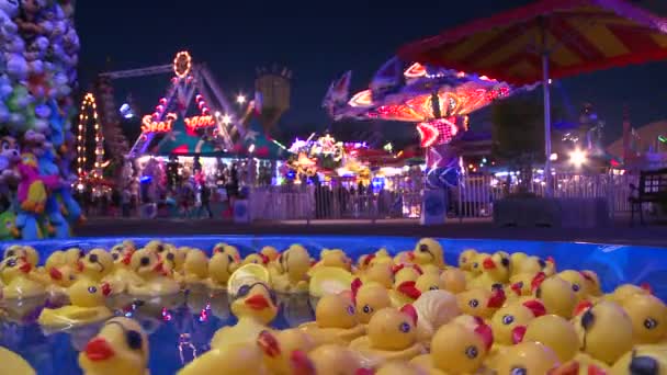 Patitos de goma flotan en una piscina — Vídeos de Stock