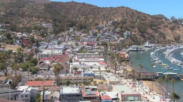 Town of Avalon on catalina Island — Stock Video