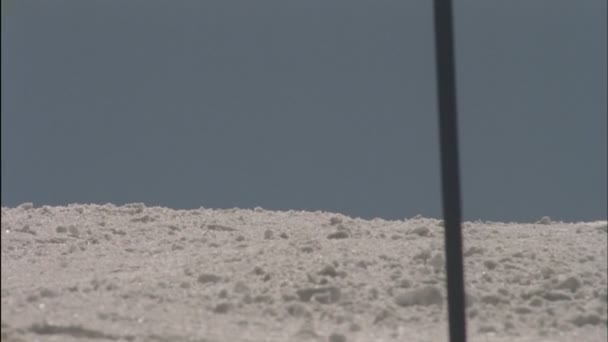 Esquiador corriendo un curso cuesta abajo — Vídeos de Stock