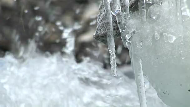 Acqua gocciolante fuori ghiaccioli — Video Stock