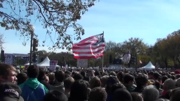 Manifestantes en el centro comercial en Washington DC — Vídeos de Stock